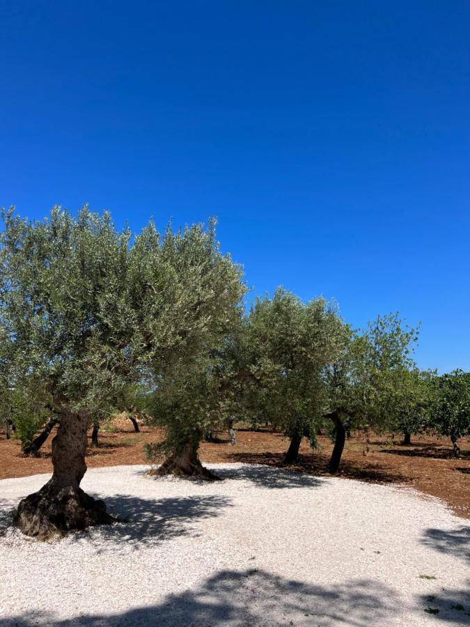Masseria Concorrano Appartement Castellana Grotte Buitenkant foto